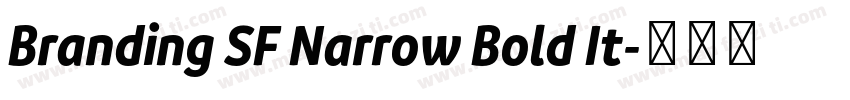 Branding SF Narrow Bold It字体转换
